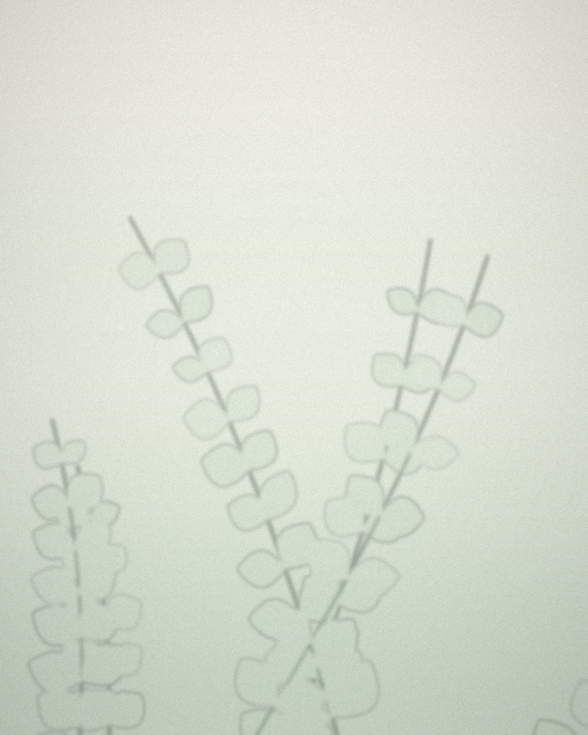Soft eucalyptus branches against a pale sage wash — the calm of the consulting room
